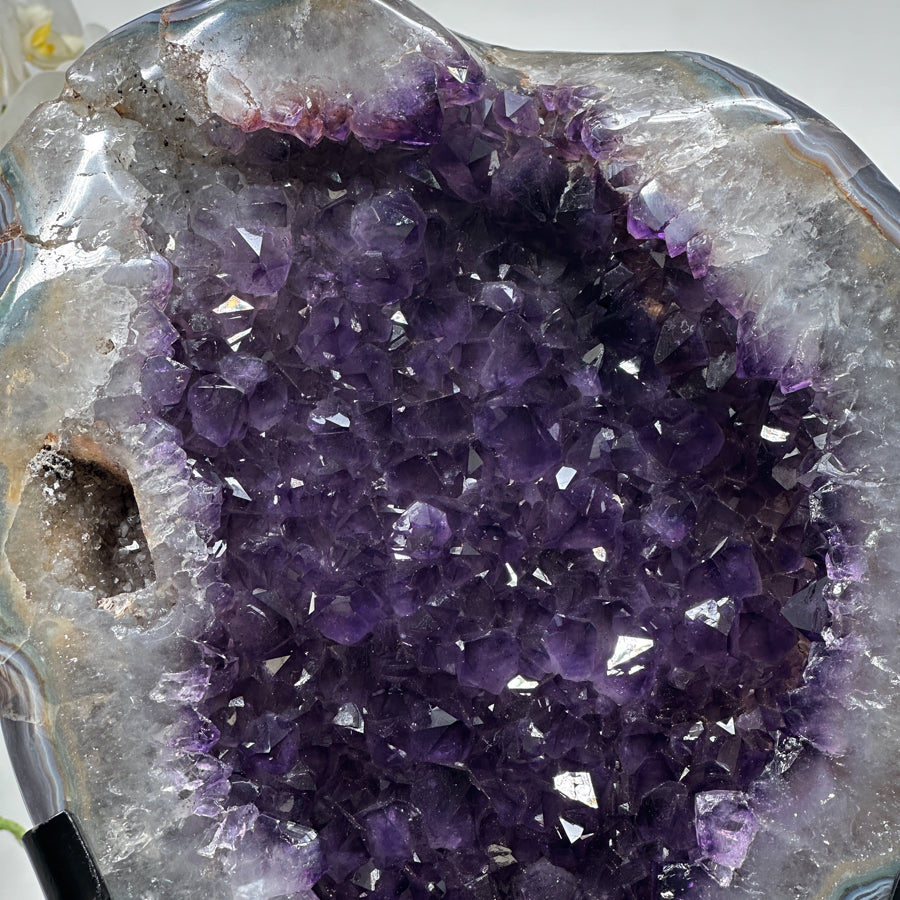 Natural Uruguayan Amethyst Geode with agate Shell - MWS1265