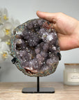 Rare Quartz and Jasper Crystal Geode - MWS1624