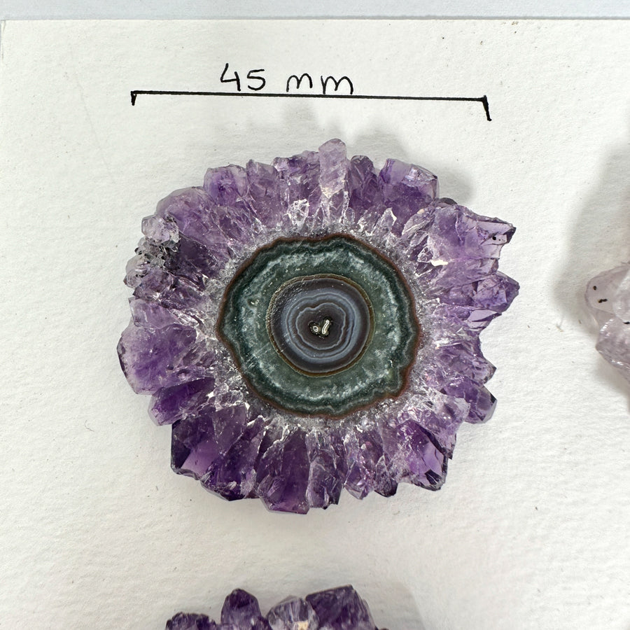 High-Quality Amethyst Stalactite Slices for Jewelers - Wholesale Bulk Pack - STS0019