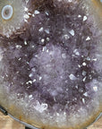 Uruguayan Amethyst Geode with ue Agate Shell & Stalacite Formation - MWS1362