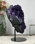 AAA Premium Grade Natural Deep Purple Crystal Cluster - MWS0911