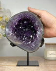 Gorgeous Natural Amethyst Geode with Large Deep Purple Crystals - MWS1640