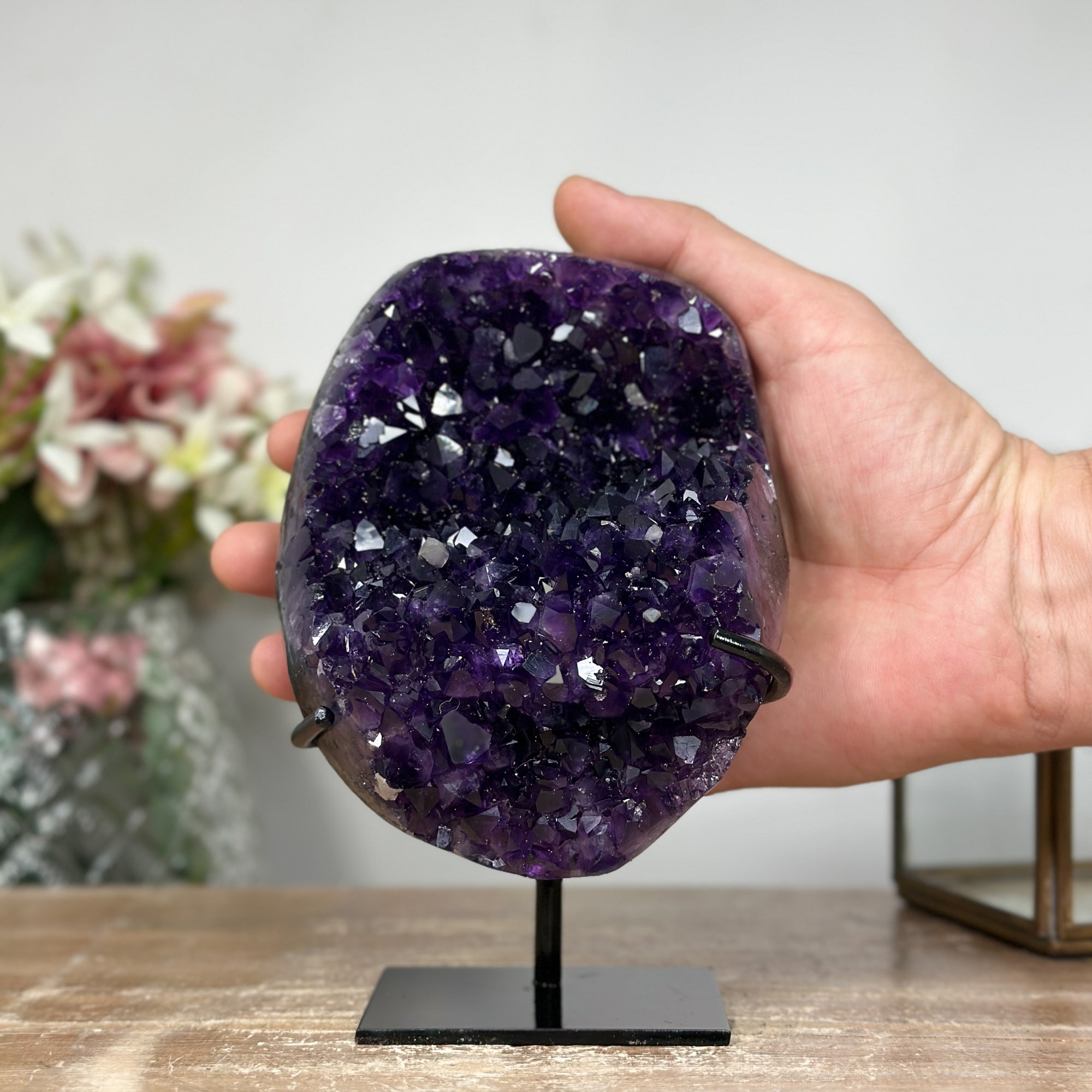 Top Quality Amethyst Crystal Cluster Specimen - MWS0947