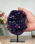 Top Quality Amethyst Crystal Cluster Specimen - MWS0947