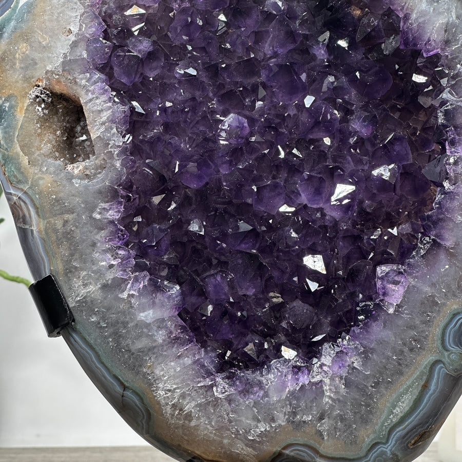 Natural Uruguayan Amethyst Geode with agate Shell - MWS1265