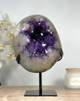 Natural urguuayan Amethyst Geode with Cuarz Shell - MWS1375