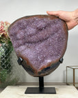 Huge Natural Lavander Amethyst cluster with beautiful Agate Shell - AWS1448