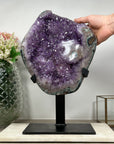 Large Natural Amethyst Cluster, Ready to Display Specimen - AWS1439