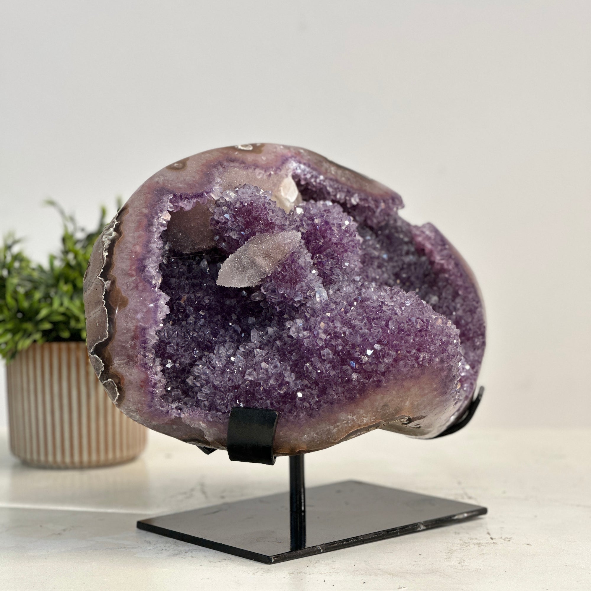 XXL Natural Amethyst Specimen with Stunning Calcite Crystals and Pink Shell - MWS0803