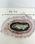 Stalactite Slices Wholesale Flat - Ideal for Pendants - STS0021