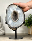 Large Natural Polished Quartz Geode with Druzy Crystals - MWS0069