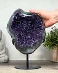 A Grade Large Natural Amethyst with Quartz Shell - MWS0158