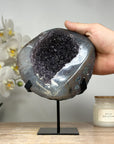 Exeptional Natural Galaxy Amethyst Druzy Geode & Quartz Shell - MWS1647