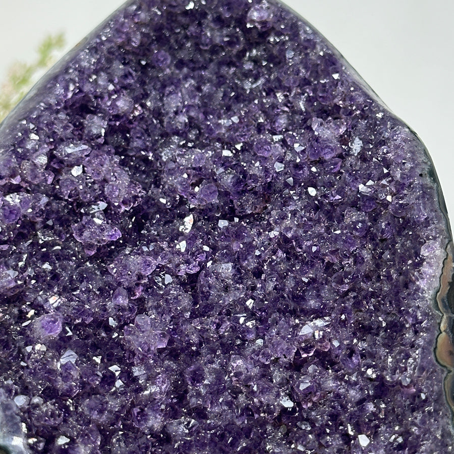 Rare Uruguayan Amethyst Cathedral - CBP0286