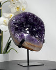 AAA Natural Amethyst Specimen with Huge Deep Purple Crystals - MWS1711