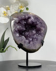 Exquisite Natural Amethyst Geode Full of Stalactites - MWS1399