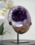 Stunning Amethyst Geode with Large & Shinny Crystals - MWS1612