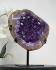 Large Natural Uruguayan Amethyst Geode, Super Shinny Crystals - MWS1550