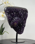 Spectacular Large Natural A grade Amethyst Cluster - MWS1450