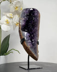 Large Natural Amethyst Geode with Deep Purple Crystals - MWS1625