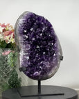 Premium Uruguayan Amethyst Geode with Large Purple Crystals – Ideal for Energy Work or Unique Gift - MWS0901