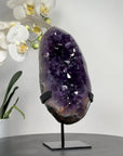 Premium Quality Uruguayan Amethyst Crystal Cluster - MWS1655