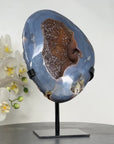 Unique Blue Banded Agate Geode with Sparkling Quartz Druzy, Metallic Stand Included - Ideal for Office Decor - MWS1633