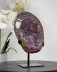 Natural Large Amethyst Cluster with Beautiful Red Banding Shell - MWS1704