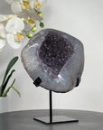 Exeptional Natural Galaxy Amethyst Druzy Geode & Quartz Shell - MWS1647