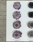 Unique Amethyst & Green Jasper Stalactite Slices Set - Natural Crystal for Handmade Jewelry - STS0030