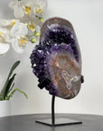 Deep Purple Amethyst Cluster with Huge Large Shinny Crystals - MWS1685