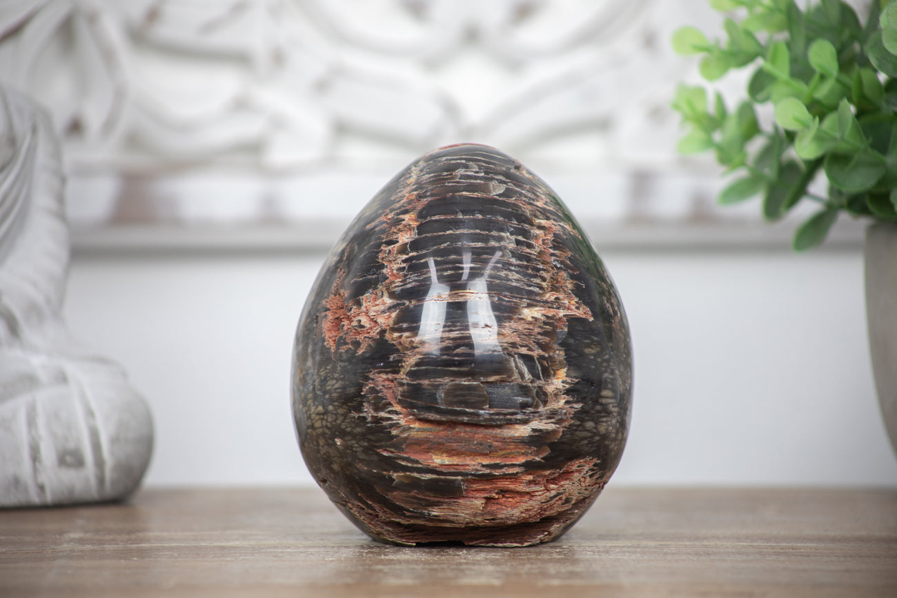 Petrified Wood Handmade Stone Egg - STE0086