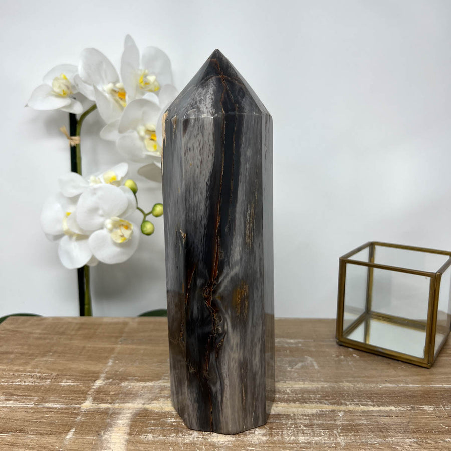 XXL Natural Petrified Wood Stone Obelisk  - STP0056