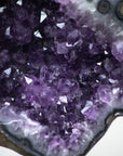 XXL Amethyst Geode with Stalactite Flower Formation - AWS0358